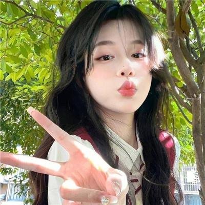 梅花档案
